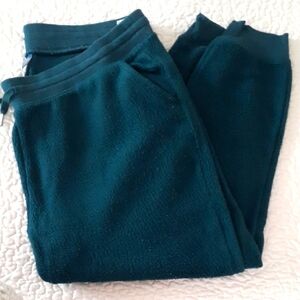Cozy Teal Teddy Joggers
